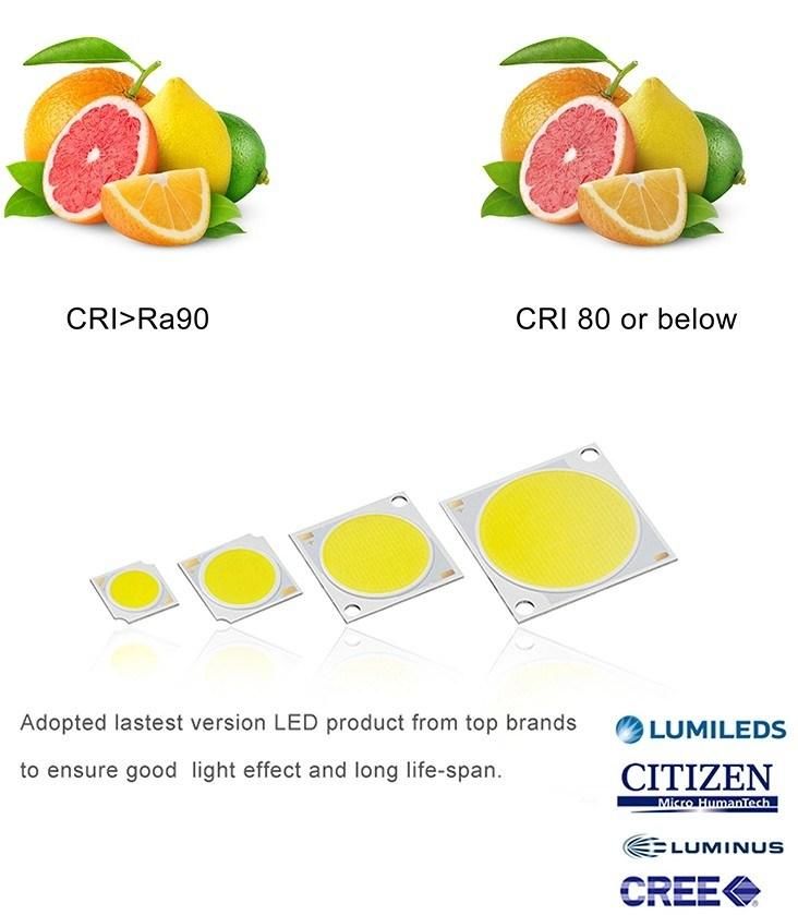 Citizen Ra>98 COB 15W/25W/35W/40W Lamp Rail Lighting Spotlight LED Track Light for Shops