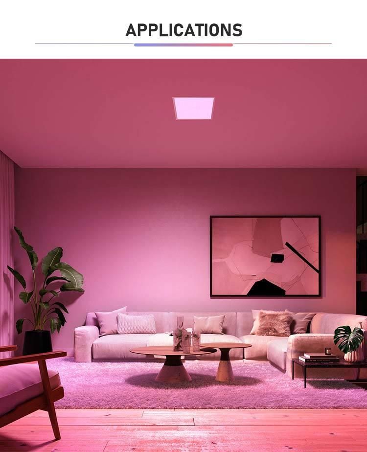 Smart RGB LED Down Light with Saso Good Production Line