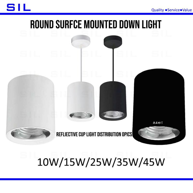 3/4/5/6/8 Inch Round Surface Mounted LED Downlight for Commercial Urban Lighting 15watt LED Down Light