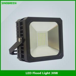 New Product Ce Driver LED Flood Light 30W
