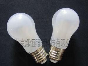 Water Proof Liquid Cooled LED Bulb (B3W-CW-2)