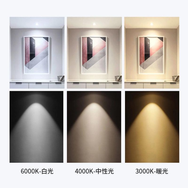 5W 7W 12W Changeable Anti Glare Rimless Adjustable Surface Mounted Spotlight LED Down Light Lamp Downlights