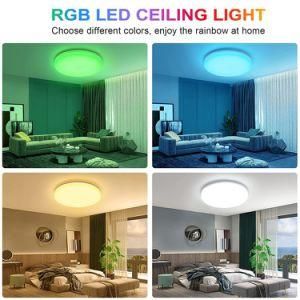 RGB Colorful Round Modern Smart WiFi Ceiling Light LED Surface Mounted 30W for Bathroom Bedroom