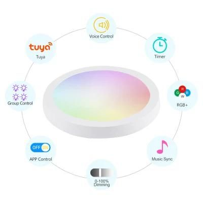 Economical and Practical Professional Design RGB WiFi Smart Ceiling Light