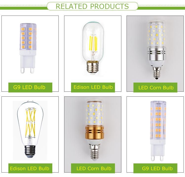 Decorative Lamp Vintage Edison G45 110V 220V Housing 360 Degree 2W 4W 3000K 4000K E27 LED Filament Bulb