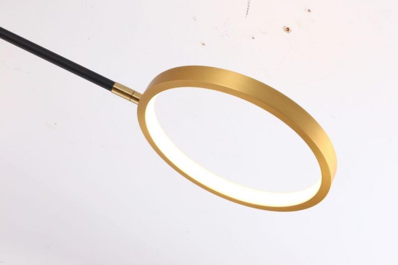 Masivel 8-Head Design LED Light Modern Nordic Indoor Ceiling Light