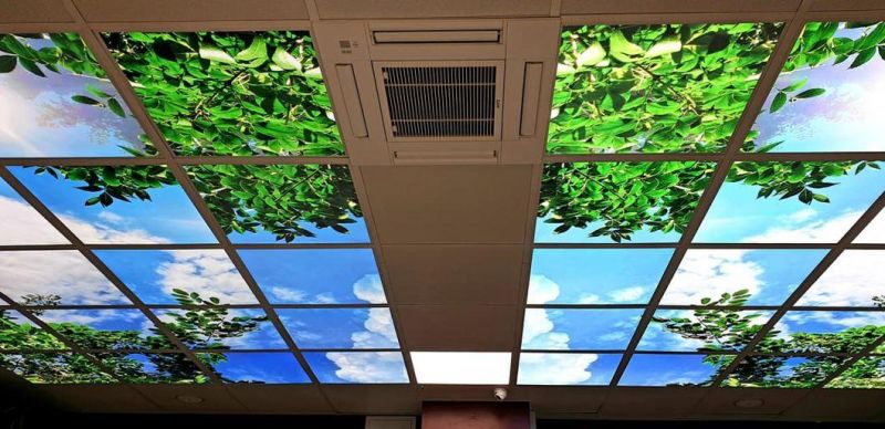 Customized 40W LED Skylight Panel Light for Health Center