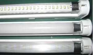 LED Tule Light