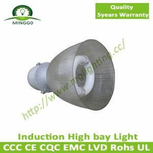 40W~80W Industrial Induction High Bay Light