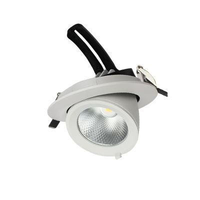 High Power 24W 30W Aluminum Ceiling LED Downlight Spotlight for Restaurants