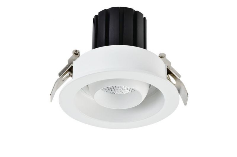 Adjustable Pinhole High Brightness LED COB Ceiling Light Downlight Customizable