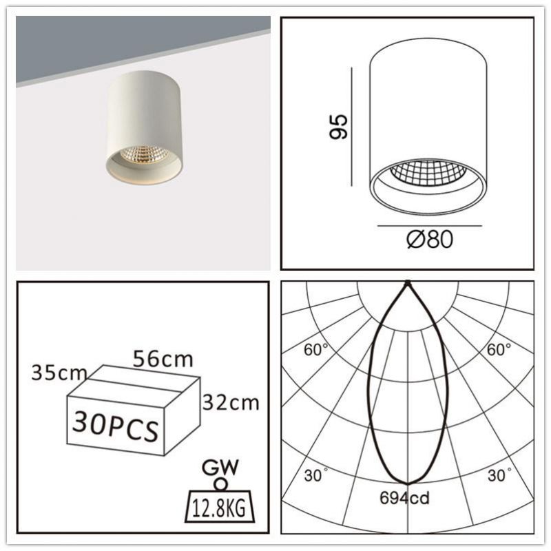 COB 6W10W TUV RoHS Certified High Quality LED Downlight