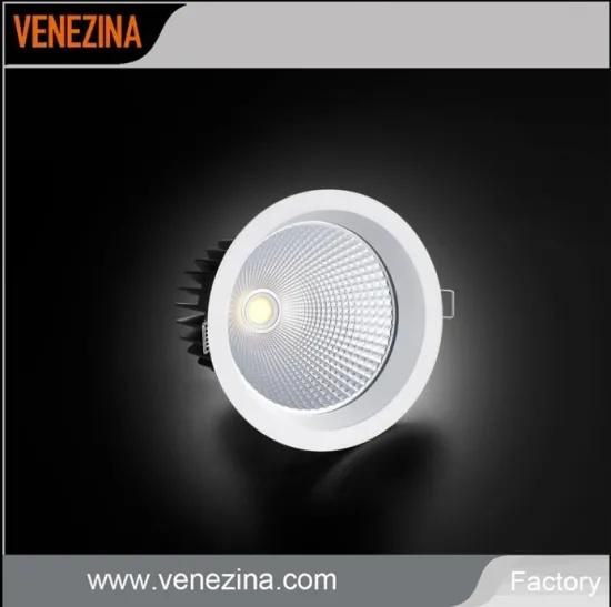 Manufacturer Fixed Ceiling LED Down Light 20W / 25W Recessed COB Downlight
