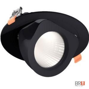 2018 New Product Cut out 113mm 20W Gimbal LED Downlight for Public Lighting