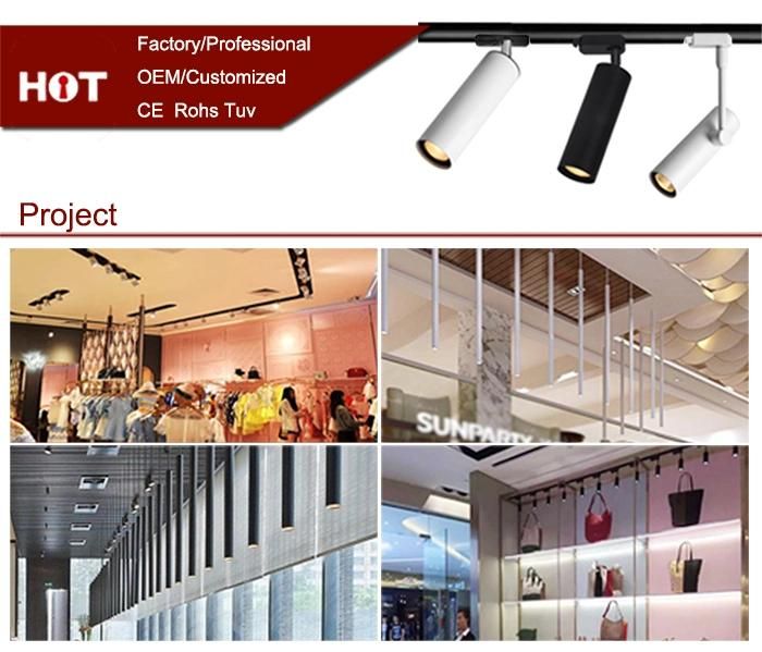 Modern COB AC100-240V 50/60Hz CRI >80ra Business Photo Commercial LED Ceiling Light