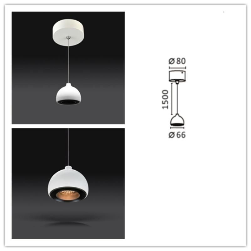 Venezina COB Ceiling Mounted LED Light Steel Sheet 30 Degree LED Pendent Downlight