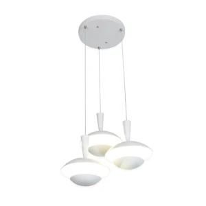 Restaurant LED Pendant Light (PDL01-10W*3)