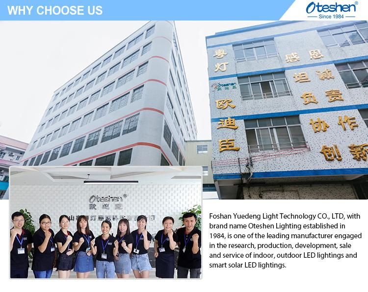 Stainless Steel LVD Approved Oteshen White Box/Color Box/Plastic Box LED Wall Light