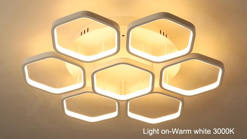 Modern Housing Decorative Multi-Heads Chandelier LED Ceiling Light