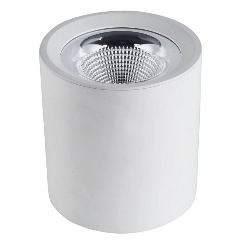 Dimmable LED Downlight Interior Round Spotlight Dali Dimmable 40W 30W LED Downlight
