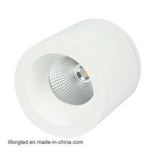 White Black Finish 6inch 25W Surface Mounted LED Downlight with Ce RoHS