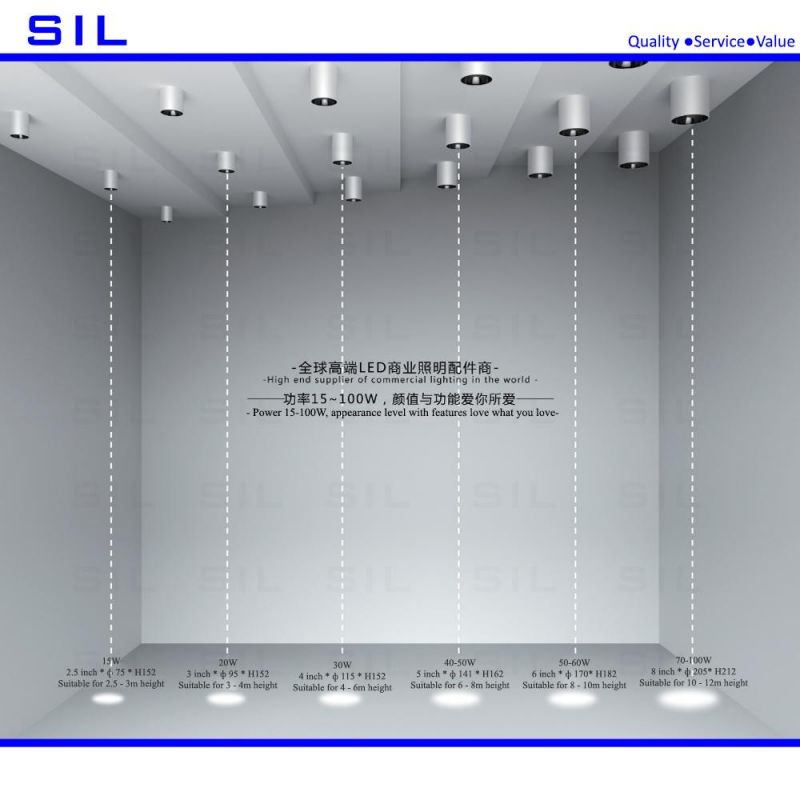 High Quality LED Wall Washer Outdoor 10W/15W/20W/30W LED Wall Light