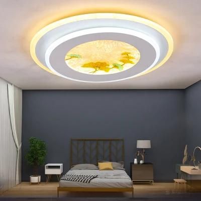 Dafangzhou 116W Light China Purple Ceiling Light Manufacturer Outdoor Ceiling Light IP54 Rating LED Ceiling Lamp Applied in Bedroom