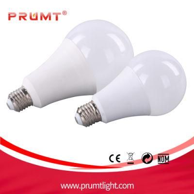 Competitive Price IC Driver a Bulb 12W 1year Warranty LED Bulbs