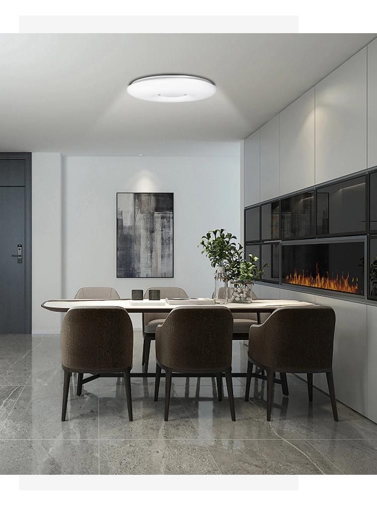 New Indoor IP65 LED Ceiling Lamp Nordic WiFi Ceiling Light