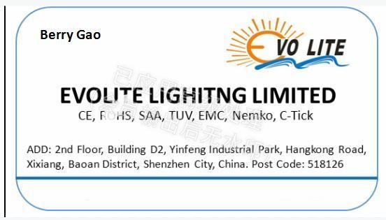 LED SMD Downlight LED Line Light Evo-Ll-5t LED Spotlight
