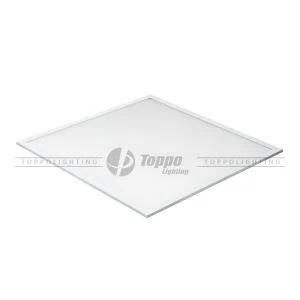 P06 Series Prismatic LED Panel