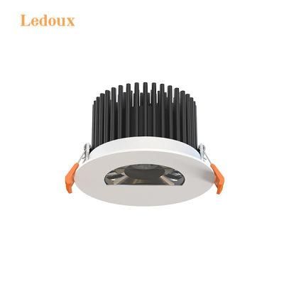 LED 30W Wall Washing Indoor Lighting Spotlight COB Downlight