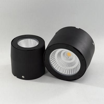 IP65 Waterproof Surface Mounted LED Indoor Spot Light LED Ceiling Light for 50W Indoor Ceiling Lighting