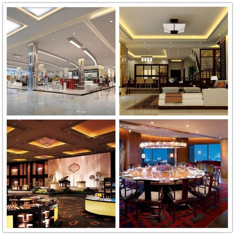 Professional Hotel Using 15W-25W COB LED Recessed Downlight