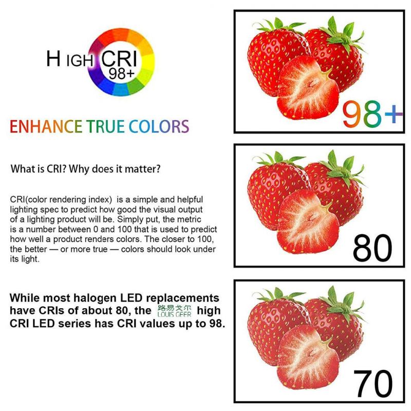 10W LED Lighting Hot Sale High Quality Multi Color LED Downlight for House Decoration