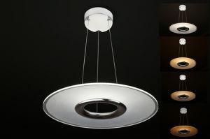 [Dalen] 28W Modern Dining Room Round LED Pendant Light, Suspended Lamp, CCT Adjustable Restaurant Droplight