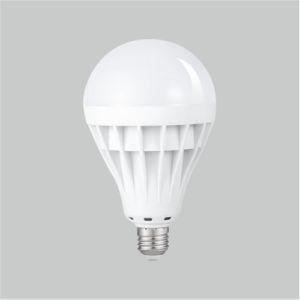 LED Bulb T1