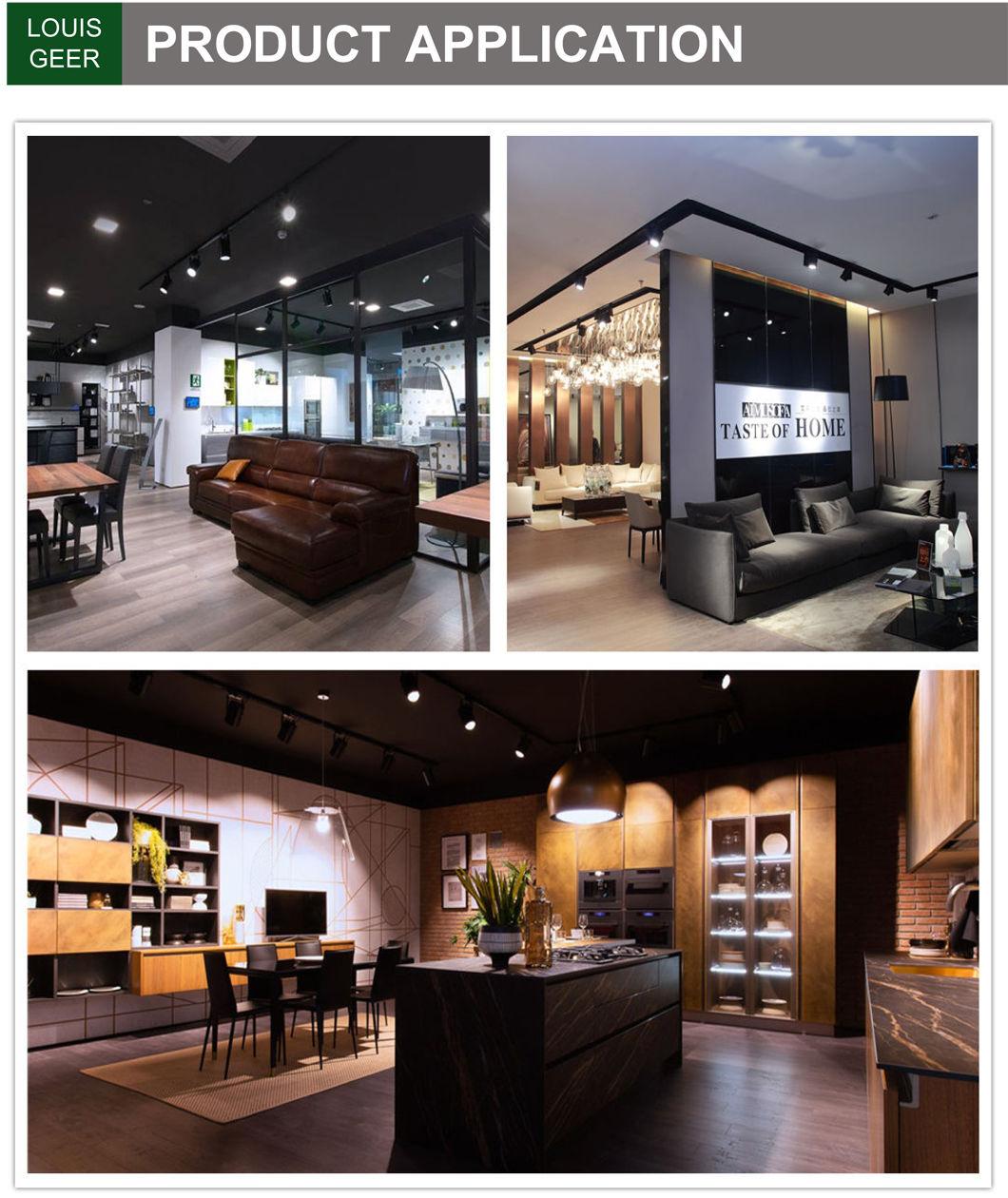 Shopping Mall Factory Price Ce, EMC, LVD, VDE 3000K 30W Light Source China LED Lights, LED Light
