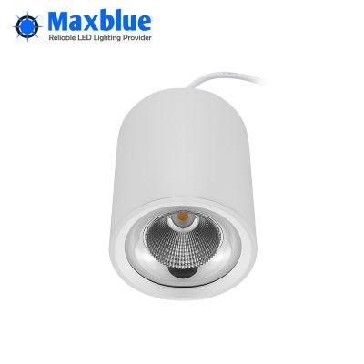 10W-50W Surface/Open/Ceiling Mounted CREE COB LED Down Light