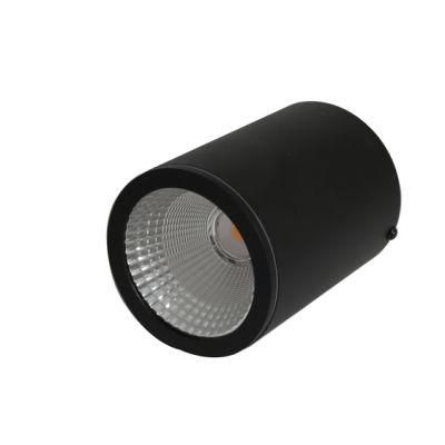 Outdoor Waterproof Ce RoHS Certified LED Downlight Porch Spotlight