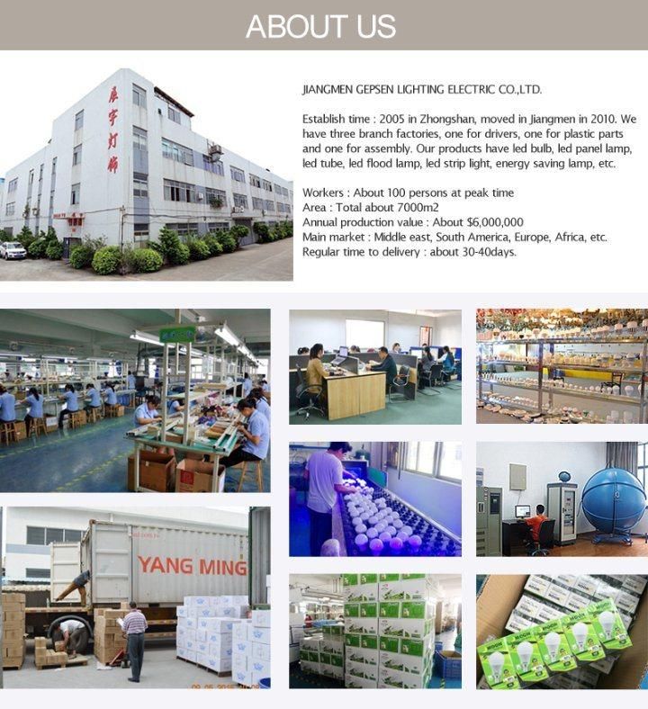 China LED Bulb Factory Manufacturer High Power 10000K LED Bulb E27 30 Watt