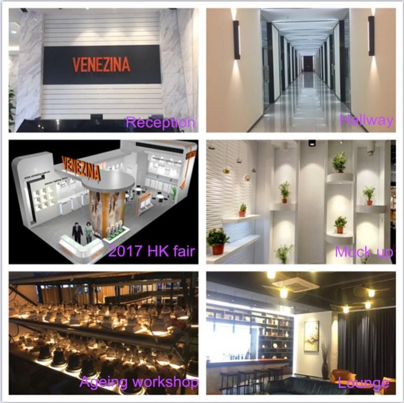 Popular New Design Dimmable COB LED Tracklight with Ce RoHS LED Downlight LED Ceiling Light LED Spotlight LED Light LED Down Light