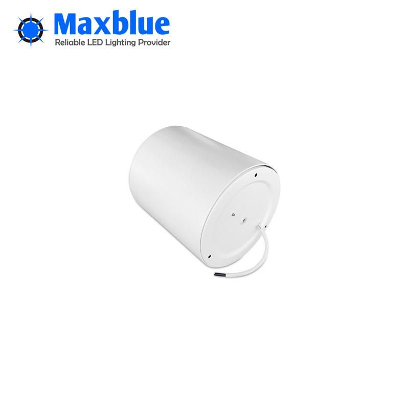 35W 3000lm CREE COB Surface Mounted LED Downlight