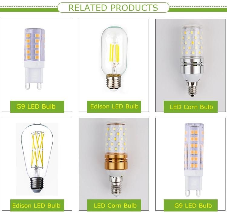 Low Voltage DC12V 24V LED Filament Edison Bulb G45 St64 E27 E26 B22