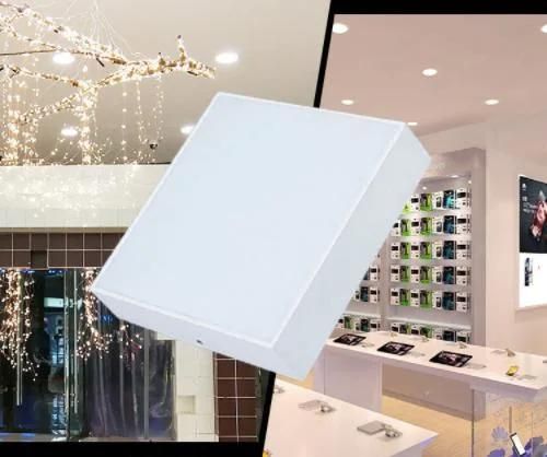 Residential Indoor Ceiling Panellight Lamp Surface Aluminum Plastic 16W/24W/30W/48W Round Frameless LED Panel Light