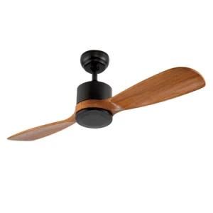 Modern Simple Style 2 Blades Ceiling Fan with Light DC Motor Control Remote Wood Ceiling Fan