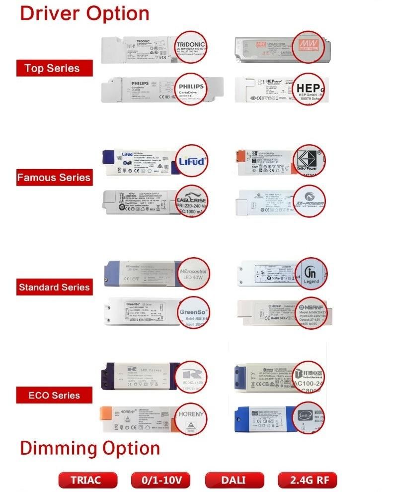 PMMA LGP Ultra Slim LED Downlight Energy Saving Lamp