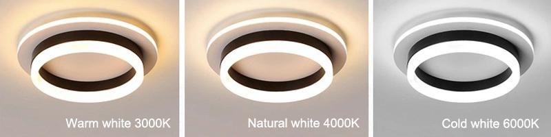 Home Ceiling Lamp for Interior Lighting Bedroom Decoration Aisle Lights