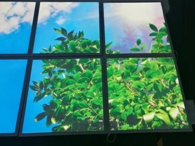 America Standard 3D Image Sky LED Panel