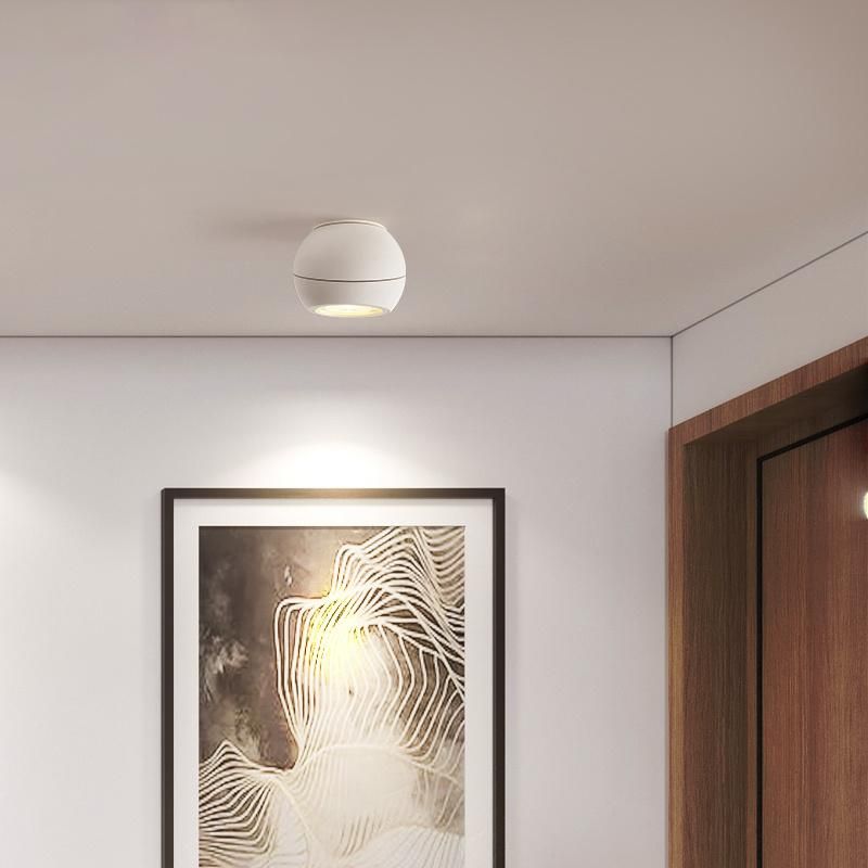 12W Ball Shape LED Ceiling Light Rotatable Decorative Spotlight